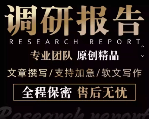 撰写调研报告代笔调研报告实践可行性研