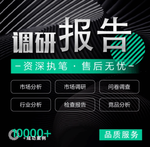 市场调研报告代笔分析调研数据产业行业