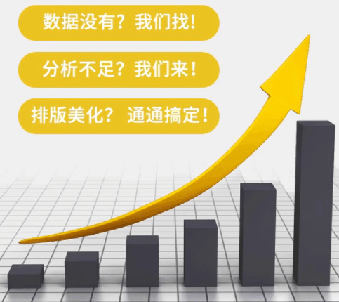 代写调研报告立项目行业市场可行性研究